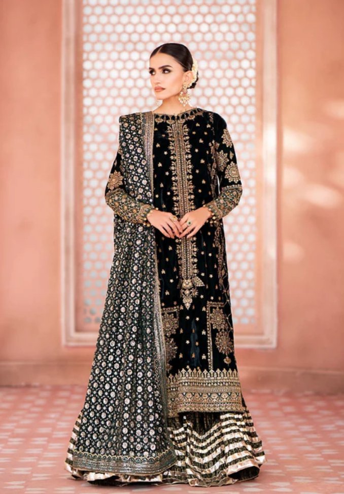 Winter Wedding Magic: The Elegance of Pakistani Velvet Formal Wear - SaviiFashion.com