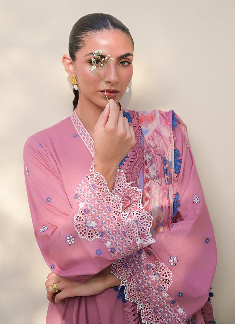 Image-Paloma