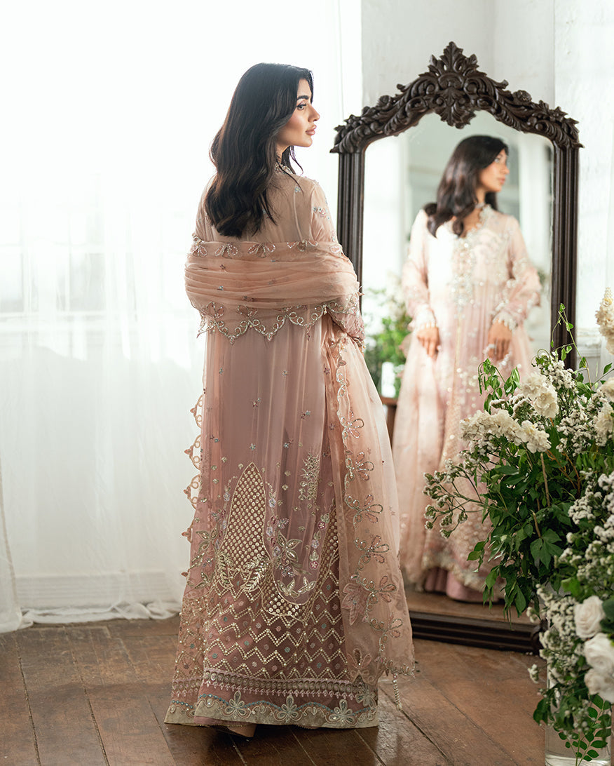 Mushq-Shehnai