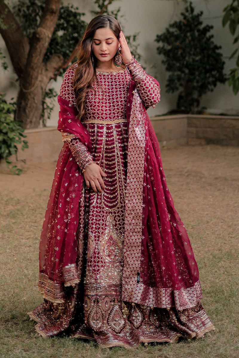 Mohsin Naveed Ranjha - Aiman Khan in Bia