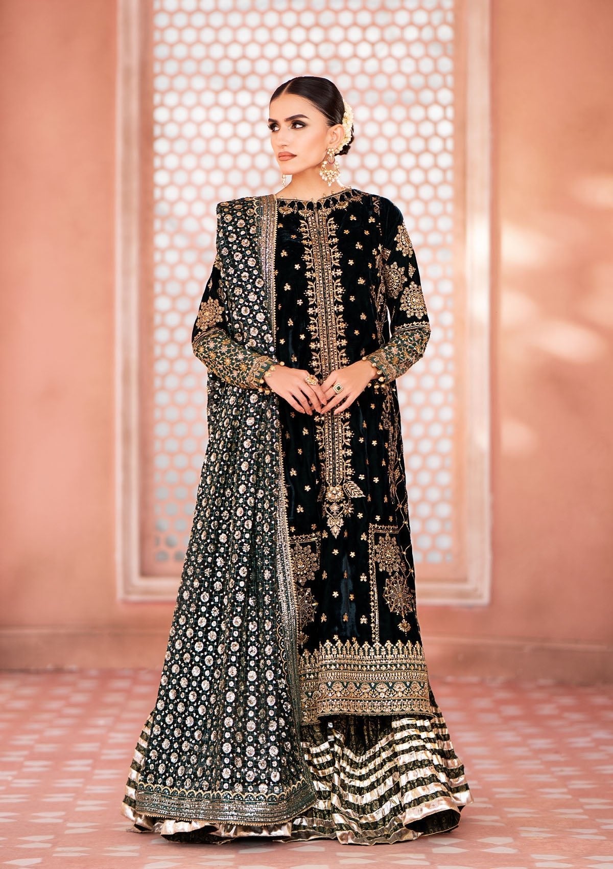 Aik - ZARDOZI Velvet - LOOK 05 - SaviiFashion.com